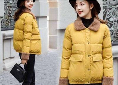 中國羽絨制品國內(nèi)市場潛力巨大,面臨的是一個巨大的等待喚醒的市場