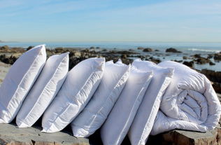 endlessbay將采購中國優質原材料正式納入采購戰略