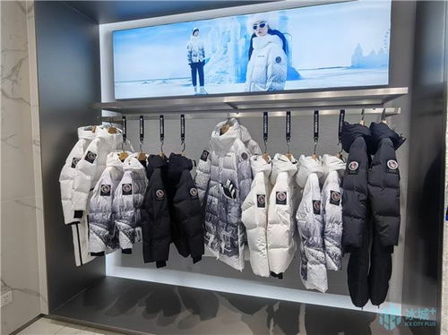 刷新當年落地 當年生產 當年上市的 哈爾濱速度 立冬時節 爾濱 波司登 如約而至