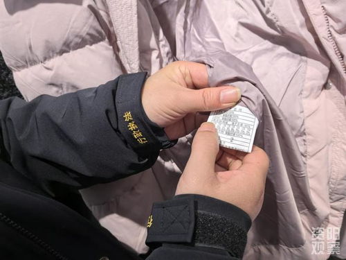 羽絨制品 以絲代絨 含絨量0 資陽開展羽絨服市場(chǎng) 大體檢