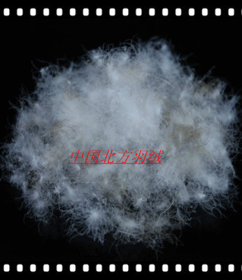 【鴨毛 羽絨供應(yīng)遼寧的好羽絨 羽絨】價(jià)格,廠家,圖片,羽毛、羽絨,安新縣大張莊北方羽絨制品銷售部-