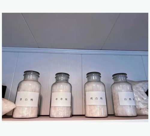 寶升家紡 年產(chǎn)20萬件羽絨制品項(xiàng)目 助跑 預(yù)計(jì)年產(chǎn)值同比增長233