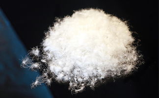 上海羽絨加工廠 專(zhuān)業(yè)羽絨制品的供應(yīng)商 安徽鴻暖