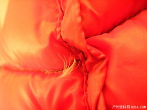 超輕面料羽絨制品鉆絨現象全解析 以事實說話，理性看待品質挑戰